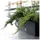 Prosperplast Blumenkasten Rato 60 x 24,5 x 24 cm anthrazit