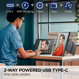 ViewSonic VP16-OLED