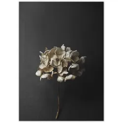 Paper Collective - Stillleben 04 (Hydrangea), 50 x 70 cm