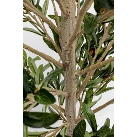 Kare Deko Pflanze Olive Tree 120cm",