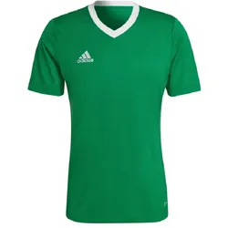 adidas Entrada 22 Trikot Herren - grün-S