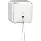 Gira Zugschalter AusWe + Montageplatte AP 314613