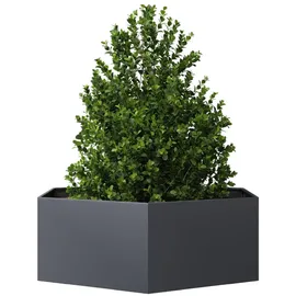 vidaXL Sechseckig 138 x 120 x 45 cm Anthrazit