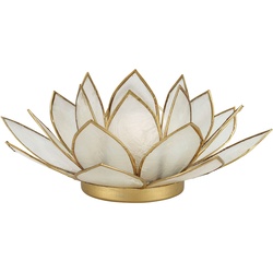 Teelichthalter "Lotus" Aus Capiz, (Farbe: Weiss)