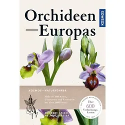 Orchideen Europas