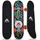 Apollo Kinderskateboard Flash 24 Zoll