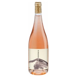 Pic du Ventoux rosé Ventoux AOP 2022, Bio Rosé, Biowein