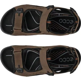 ECCO Offroad Herren nutmeg brown 41