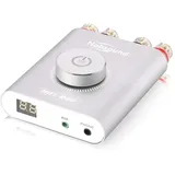 Nobsound NS-20G Mini Digital Power Amplifier Bluetooth HiFi Stereo Amp Leistungsverstärker 100W+100W (Silver)