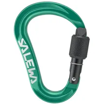 Salewa Ortles HMS S Karabiner Grün