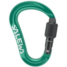 Salewa Ortles HMS S Karabiner Grün