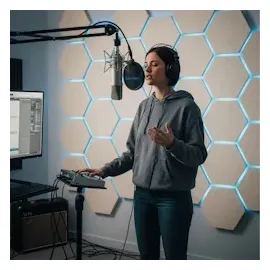 Relaxdays Akustikpaneel Relaxdays Grau 36 St. 30 x 26 cm