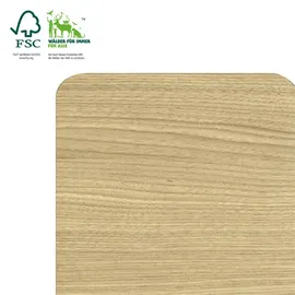 Akustikpaneel Quadrum Eiche Hellbraun 2 St. 60 x 58,5 x 1,8 cm