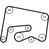 CONTINENTAL CTAM Keilrippenriemensatz 6PK2155K1