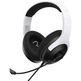Raptor Gaming H300