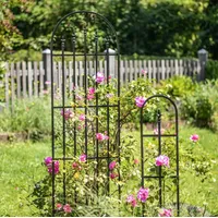 WINDHAGER Rankgitter ARCH 203x61cm