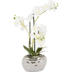 Leonique Kunstpflanze »Orchidee«, Kunstorchidee, im Topf, Bestseller, über 2500 4,5-Sterne-Bewertungen Leonique weiß/silberfarben