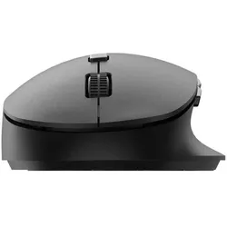 Philips Kabellose Maus 2.4Ghz