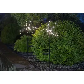 Star Trading | LED-Solar-Dekoration'Firework', 2er Pack, schwarz 45 warmwhite LED