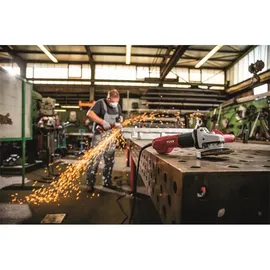 Flex L 13-10 125-EC + FixTec Mutter