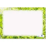 SOENNECKEN Schreibunterlage oeco 3667 RC 20Blatt