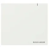 Busch-Jaeger System Access Point 3.0 Wireless, 2CKA006200A0967 SAP13WL