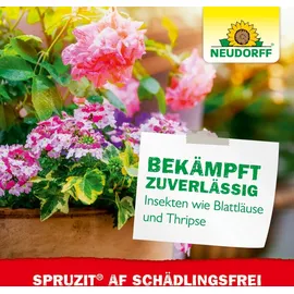 NEUDORFF Spruzit AF Schädlingsfrei 250 ml