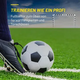 Dunlop Fußballtor Schwarz/Weiß 300 x 200 x 90 cm