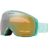 OAKLEY Flight Tracker M Prizm Skibrille-Hell-Blau-M