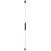 Carromco Swingstick FlexiFlexi Push, Schwingstab, himmelblau (1, 1-St) blau