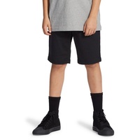 DC Shoes Chinoshorts »Worker Relaxed«, schwarz