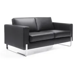 Design Lounge Leder Sofa 2-Sitzer Büro