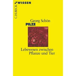 Pilze