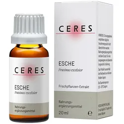 Ceres Esche Fraxinus