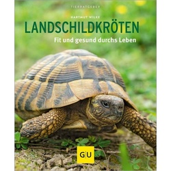 Landschildkröten