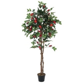 Europalms Kamelienbaum rot mit Topf 180cm