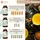 Nature Basics Bio Curcuma Kapseln 180 St.