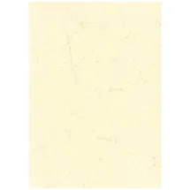 RNK Motivpapier Elefantenhaut A3 190 g/m2 10 Blatt