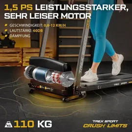 trex sport Laufband TX-500TM Schwarz