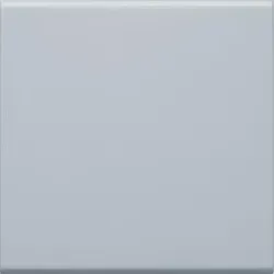 Hager GW1BLAN Wippe 1-fach Schalter/Taster, lan