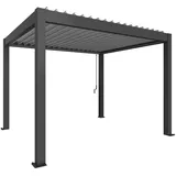 Biohort Pergola 3,675 x 3,12 m Dunkelgrau/Silber-Metallic