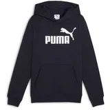 Puma ESS No. 1 Logo Hoodie FL B 684908-16 152