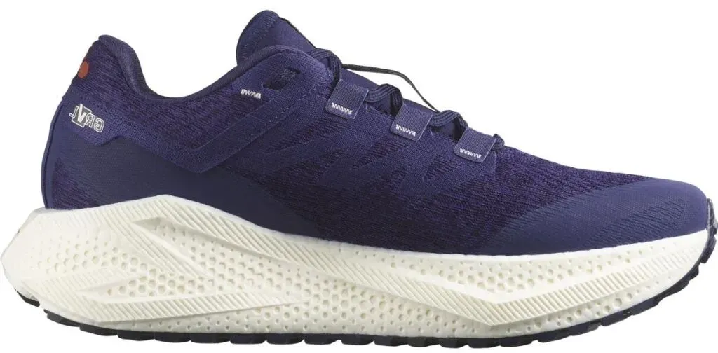 Salomon Herren Aero Glide 3 Gravel lila 46.6