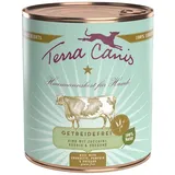 Terra Canis Rind mit Zucchini, Kürbis und Oregano Getreidefrei | 800 g