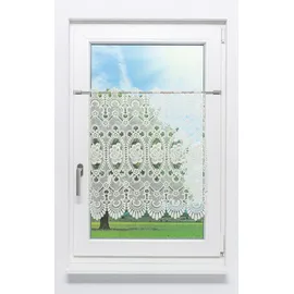 PLAUENER SPITZE Scheibengardine Blumenspitze #1W (BxH) 105cm x 65cm beige