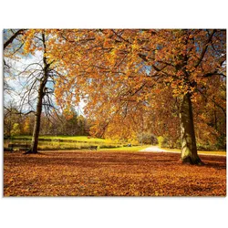 Glasbild ARTLAND "Herbst bei Schlosses Nymphenburg", braun (farbe bild(er): braun), B:80cm H:60cm, Bilder, in verschiedenen Größen