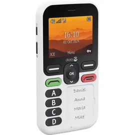 Doro Leva X10 Schwarz/weiß