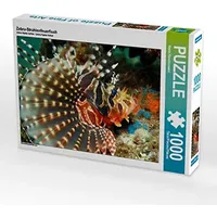 Calvendo Puzzle Zebra-Strahlenfeuerfisch 1000 Teile Puzzle quer | 1000