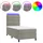vidaXL Boxspringbett 100 x 200 cm Hellgrau