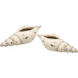Dekoschale I.GE.A. "Keramik-Schale Muschel", beige (natur), B:33cm H:10cm T:13cm, Keramik, Dekoschalen